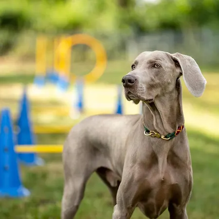 Szálloda Am Haslinger Hof