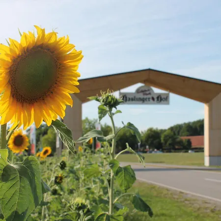 Am Haslinger Hof Szálloda Bad Füssing