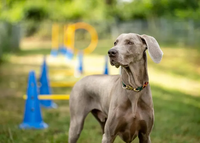 Hotel Am Haslinger Hof
