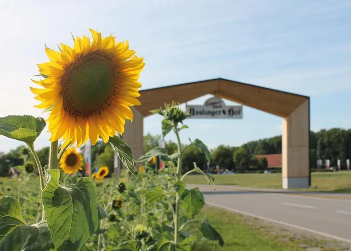 Am Haslinger Hof Hotell Bad Füssing